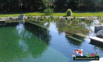 Los estanques ecológicos: Beneficios para tu hogar