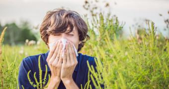 Activado el sistema de información diaria sobre los niveles de polen más frecuentes