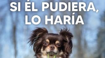 Pozuelo de Alarcón refuerza campaña para recoger excrementos caninos