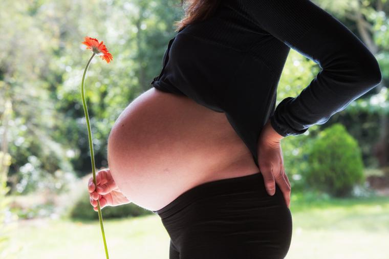 ¿Sabías que ser madre puede reducir tus ingresos?