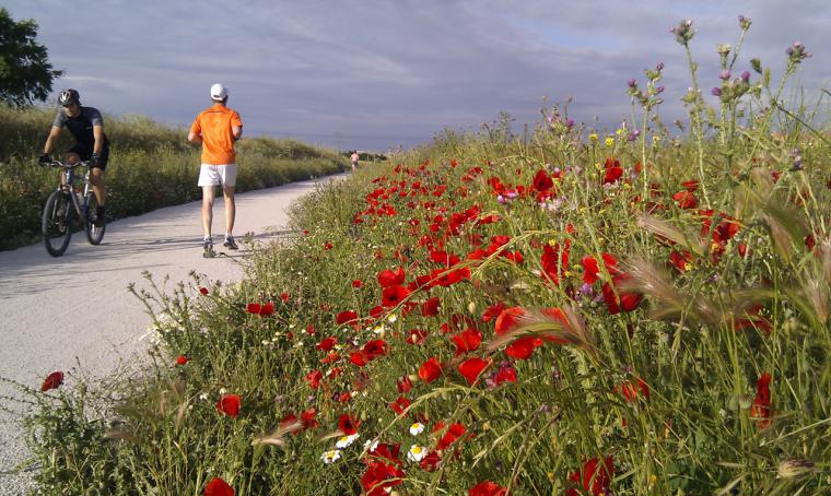 La Comunidad de Madrid potencia el uso de las Vías Verdes como destino de turismo rural en la región