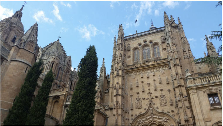 Universidad de Salamanca, la mejor opción educativa del mundo