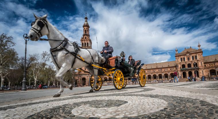 Damas de compañía en Sevilla para caballeros exigentes