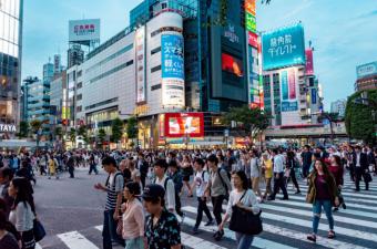 Verano en Tokio: planes refrescantes de día y experiencias únicas de noche