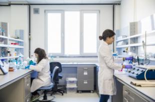 Madrid refuerza la colaboración científica con Reino Unido con tres proyectos financiados por el gobierno británico