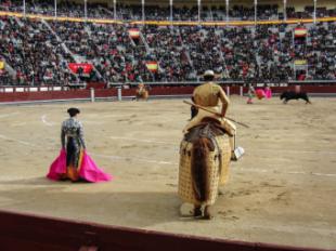 Díaz Ayuso garantiza el cuidado de la Tauromaquia: “Madrid es taurina. Porque es libre, alegre y culta y porque es España”