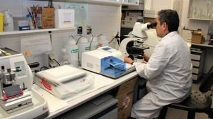 Madrid unificará datos genéticos para mejorar diagnósticos médicos