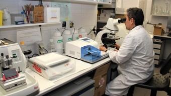 Madrid unificará datos genéticos para mejorar diagnósticos médicos