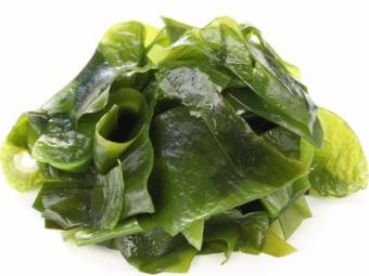 Descubre los beneficios y propiedades del Alga Wakame