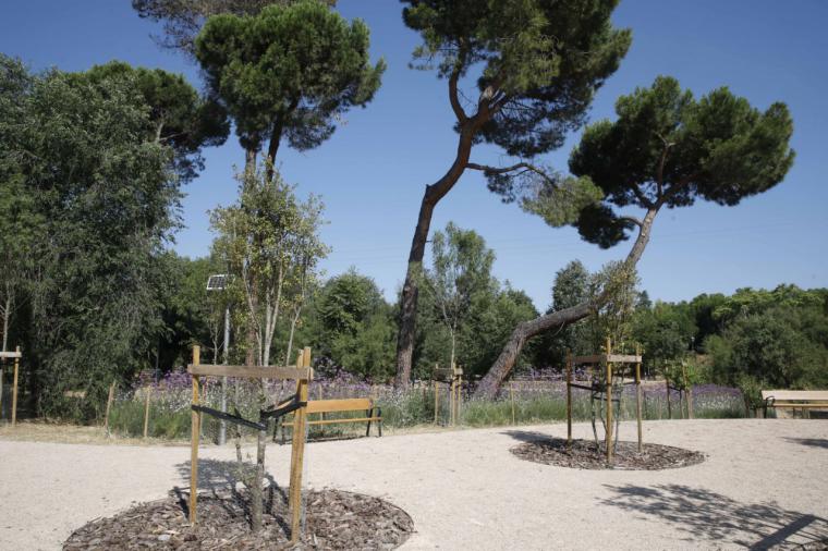 El Ayuntamiento de Madrid transforma el entorno de la Colonia de Santa María de Aravaca con una regeneración ecológica y urbanización sostenible