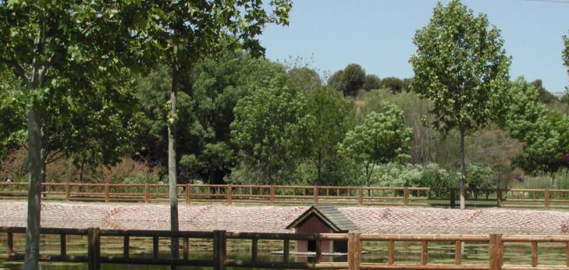 Parque Forestal "Adolfo Suárez". Pozuelo de Alarcón