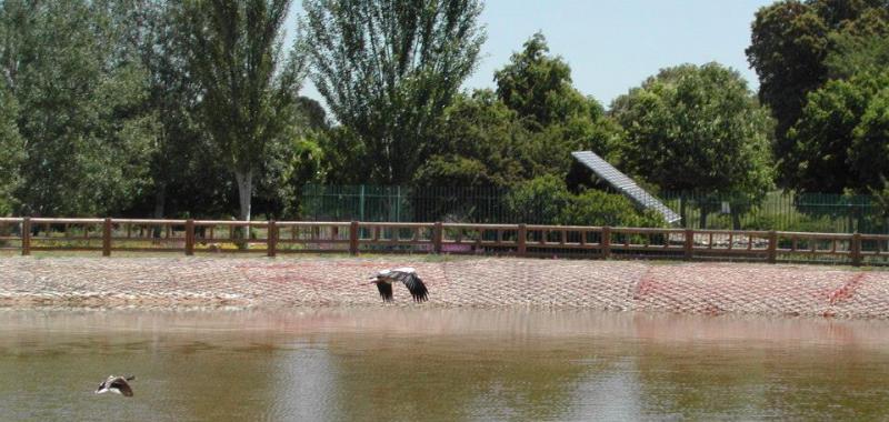 Parque Forestal "Adolfo Suárez". Pozuelo de Alarcón