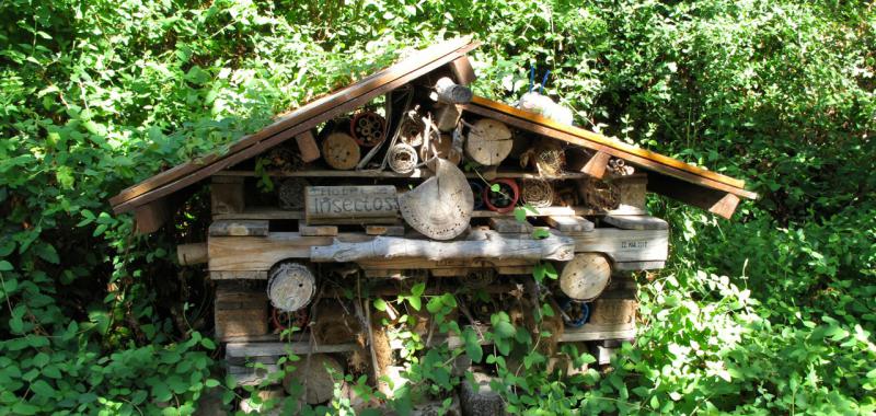 Aula de Educación Ambiental de Pozuelo de Alarcón